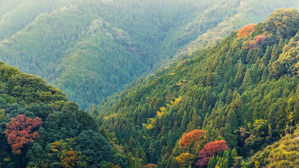 View of mountains on the way to Mt. Koya