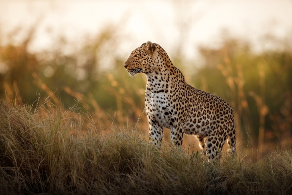 South Africa In August Travel Tips Weather More Kimkim