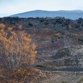 Hverfjall Crater rises in the distance of the Dimmuborgir lava fields