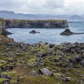 Moss-covered lava fields on the cliff walk between Arnarstapi and Hellnar (photo by Chris McCarty)