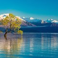 Lake Wanaka