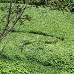 Embark on a memorable two-weeks of mountain biking in Guatemala.