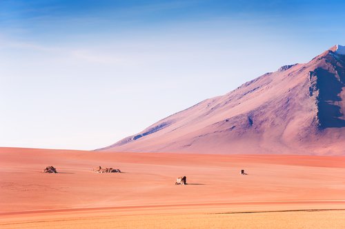 Volcanoes in the desert on plateau Altiplano, Bolivia