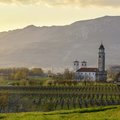 A spring sunset in Slovenia's wine country