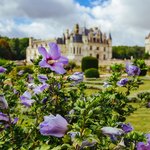 Chenonceau castle and grounds