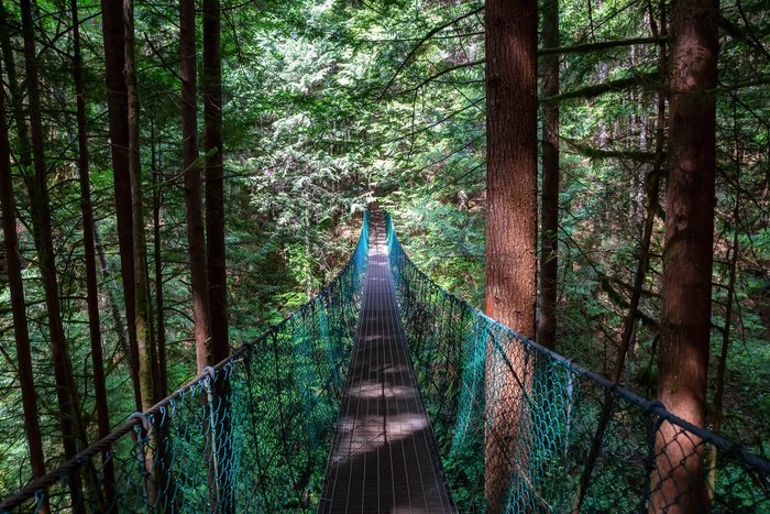 Suspension bridge on the Juan de Fuca Trail near Mystic Beach