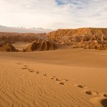 Discover Chile's Atacama Desert