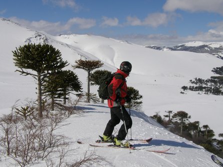 Hitting the slopes at Lonquimay Volcano
