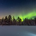 The northern lights over a Finnish forest