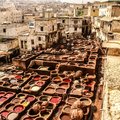 See (and smell) animal skins being dyed in the famous Fes tanneries