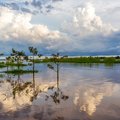 Sky and trees reflected in the Amazon River