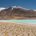 Atacama Desert