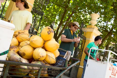 Where to Eat with Kids in Cartagena