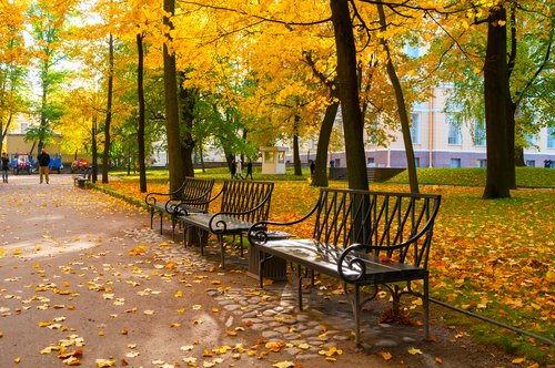 Fall in St. Petersburg