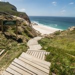 Scenic walkway at the Cape of Good Hope