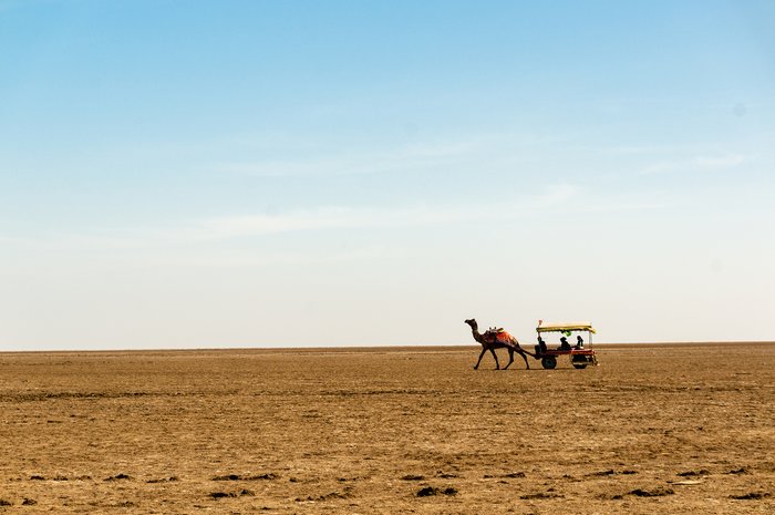 The Great Rann of Kutch, a salt marsh in the Thar Desert, Gujarat, India