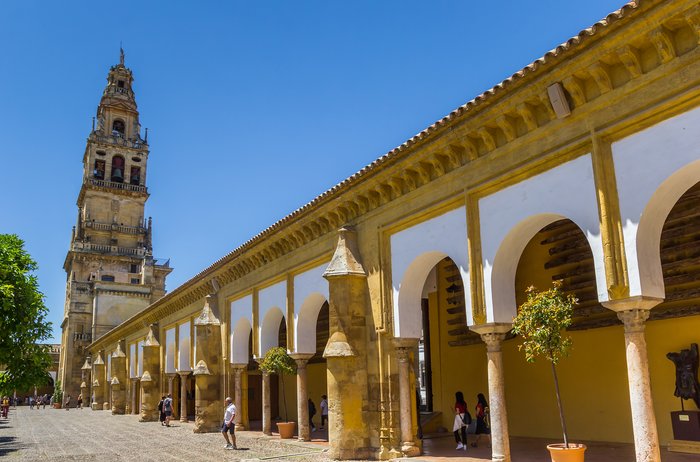 Relax in the courtyard of Córdoba's Mosque-Cathedral