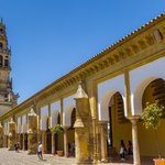 Relax in the courtyard of Córdoba's Mosque-Cathedral