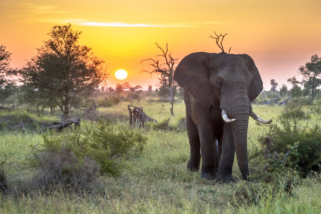 Best Time Of Year To Visit Kruger National Park Kimkim Best Time Of Year To Visit Kruger National Park Kimkim