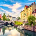 Best Local experiences in Slovenia