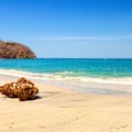 The Guanacaste region on the Pacific Coast is known for its arid landscape and beautiful beaches