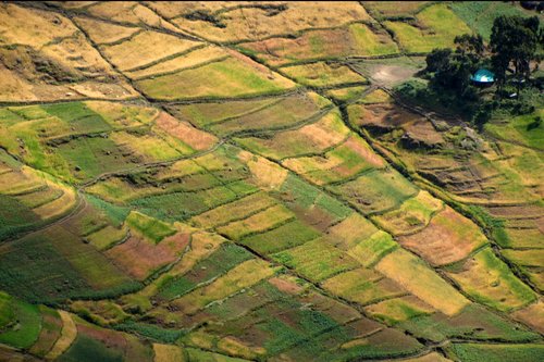 Colourful Simien Mountains