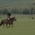 Horse trekking in Orkhon Valley