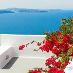 Flowers on a Santorini terrace