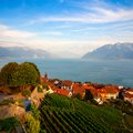 Vineyards of the Lavaux region by Lake Geneva