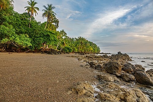 Explore Colombia's wild pacific coast on this quick-trip of the country