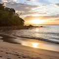 Beach on the Pacific Coast at Sunset