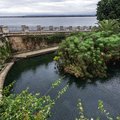 Head to Ortygia's Fonte Aretusa, a natural spring