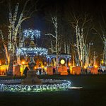 A park in Zagreb lit up during the Advent season