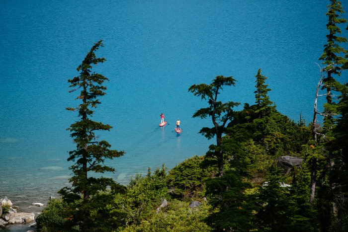 Paddleboarding off the coast of the Great Bear Rainforest