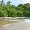 Palm-fringed coastline at Manuel Antonio National Park