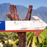 Chilean vineyards