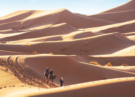 The dunes at Erg Chebbi, Morocco