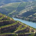 Douro Valley, Portugal