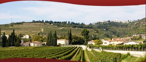 Valpolicella wine region