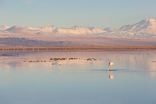 A pristine laguna in the Atacama Desert, Chile