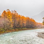Fall Colors of Kamikochi National Park in the Japanse Alps