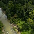 An aerial view of Segama River, Danum Valley 