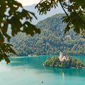 Hike through the hills surrounding Lake Bled