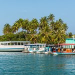Colorful boats in a Sri Lankan harbor