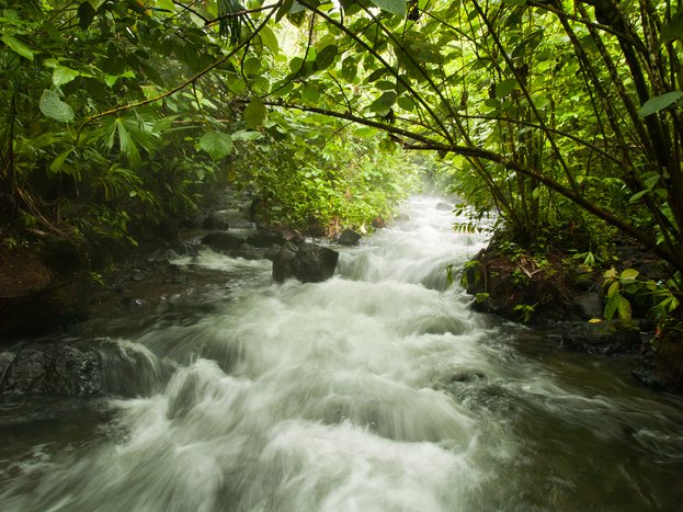 Due to the exuberance of the vegetation that surrounds it, and the numerous rapids that form during its descent towards the Caribbean plains, suitable for rafting, the Pacuare is an important tourist attraction of Costa Rica. The Pacuare basin has been protected by the Matina Pacuare Forest Reserve.