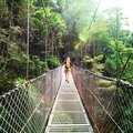 Hanging bridge in Monteverde National Park
