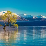 Lake Wanaka