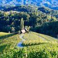 Slovenia's green landscapes are a dream for road-trippers