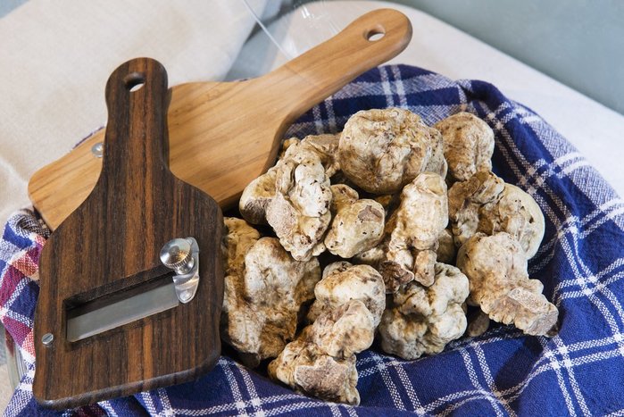 White Truffles, Alba