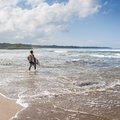 Take to the waves and learn to surf in Playa Tamarindo